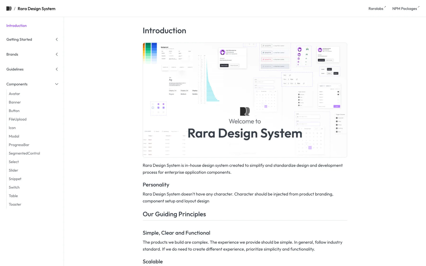 Rara Design System — The documentation site the components are specified in, shared by designers and engineers